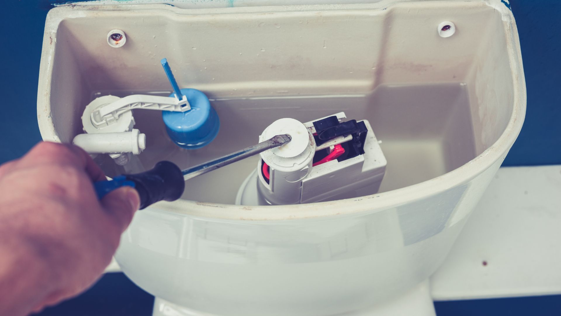 What is the Average Cost of Toilet Repair in Parowan?
